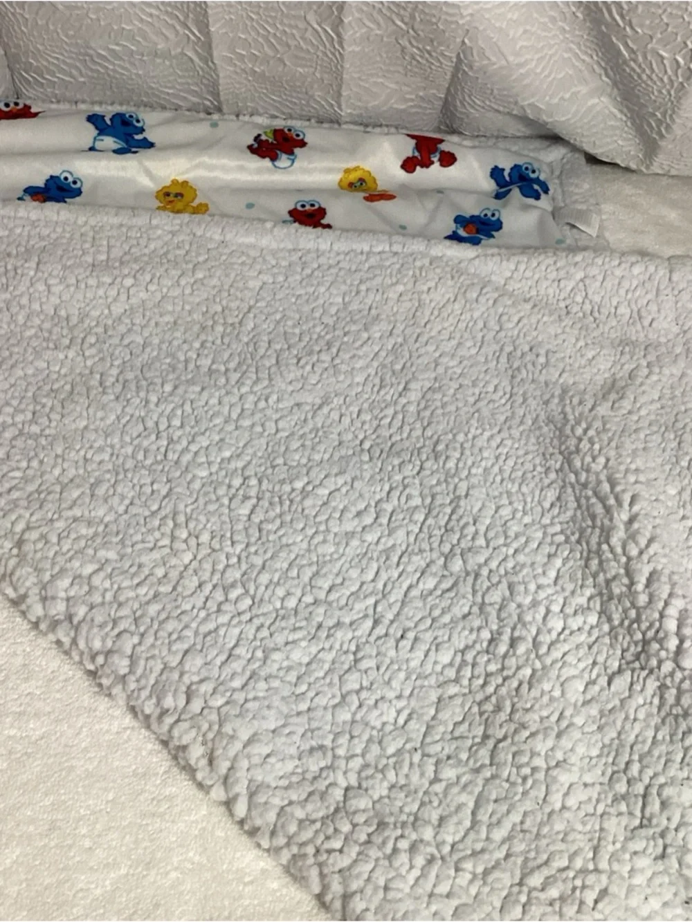 Vintage Sesame Street Babies Graphic Printed Baby Blanket Sherpa Back